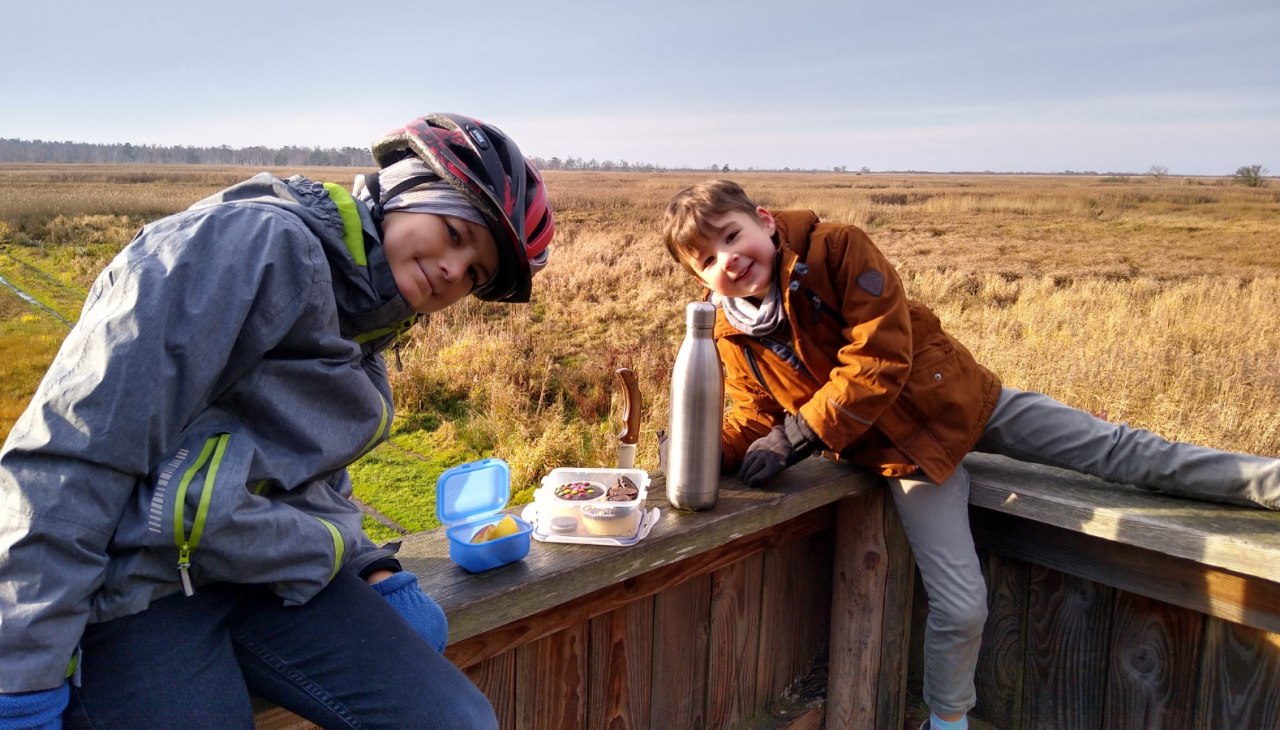 Neugierige Entdecker im NSG Hütelmoor, © Olaf Schätzchen Neugierige Entdecker im NSG Hütelmoor, © Olaf Schätzchen