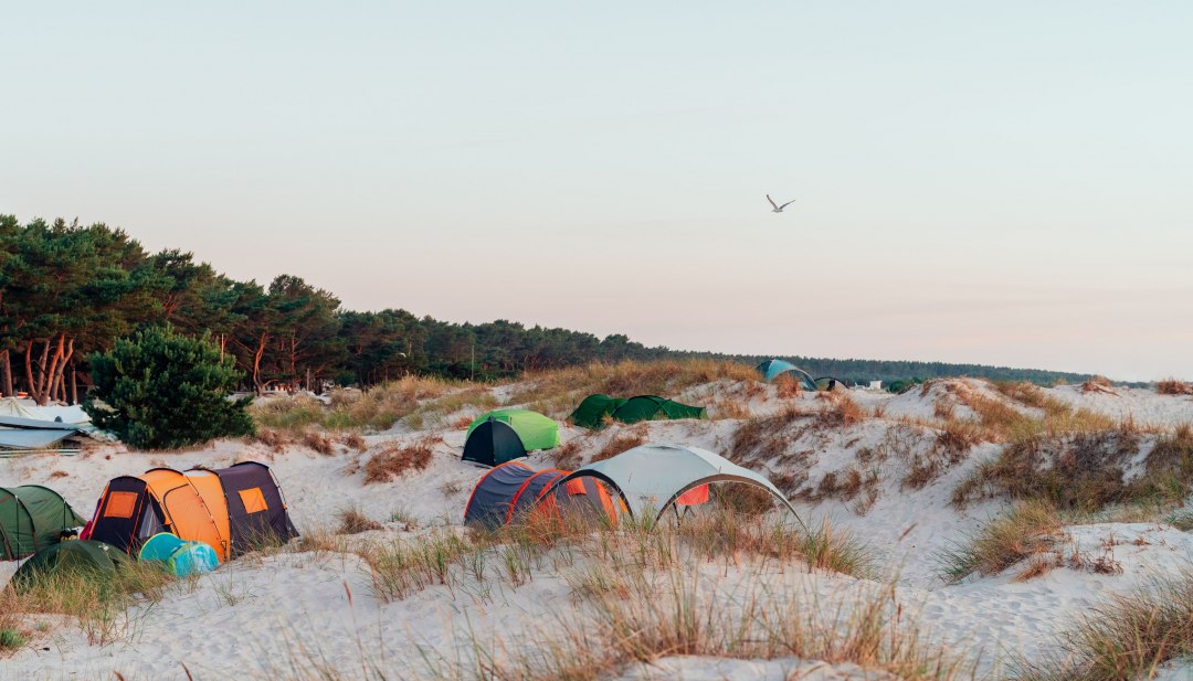 Zelte stehen zwischen Sandd&uuml;nen und K&uuml;stenwald im Ahoi Camp Dar&szlig; an der Ostsee bei Sonnenuntergang.