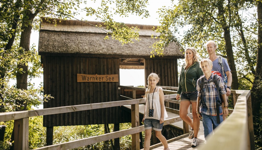 Een gezin loopt over een houten loopbrug naar een hut met een rieten dak; een meisje heeft een verrekijker om haar nek hangen. // Krakende houten planken, ritselend blad: aan het Warnker Meer in het Nationaal Park Müritz verkennen gezinnen de steiger naar de hut met rieten dak. // © MV-T/Roth Een gezin loopt over een houten loopbrug naar een hut met een rieten dak; een meisje heeft een verrekijker om haar nek hangen.