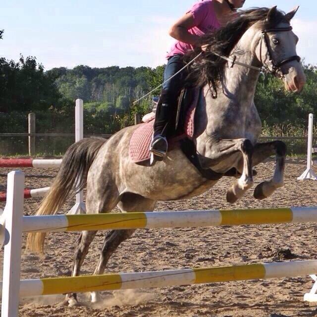 © bernsteinreiter © bernsteinreiter