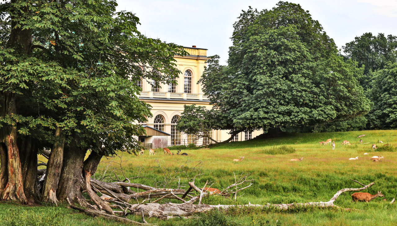 schlosspark-zu-putbus_1, © TMV/Gohlke schlosspark-zu-putbus_1, © TMV/Gohlke