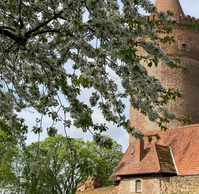 &copy; Andrea Kr&uuml;ger