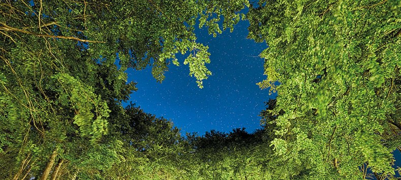 &copy; Kurverwaltung Sellin