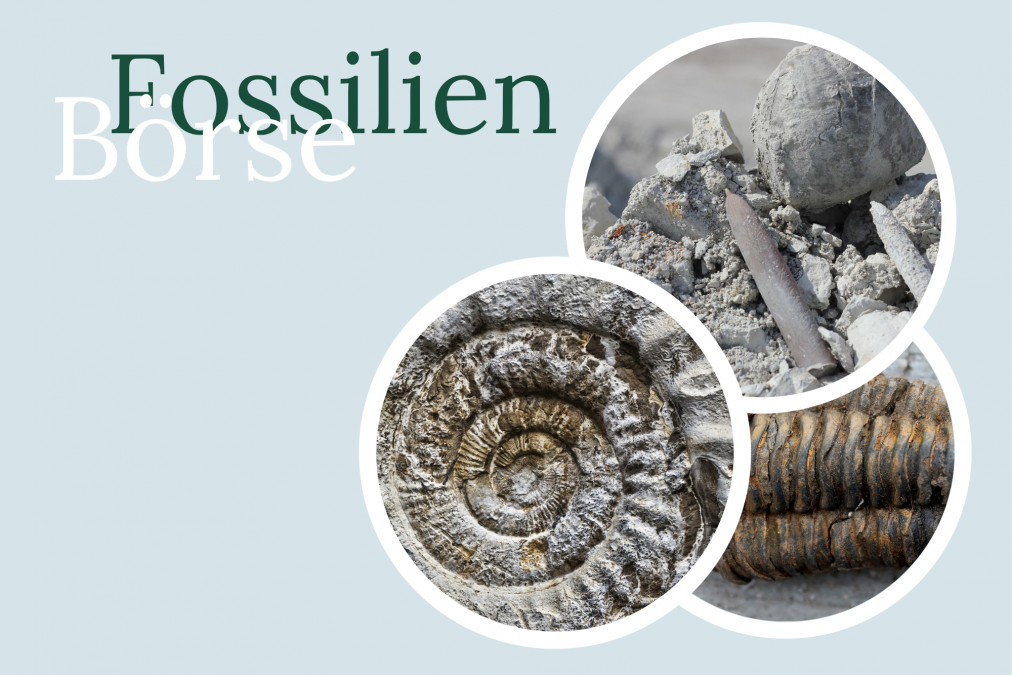 Fossilienb&ouml;rse IMX (1), &copy; Kurverwaltung Rerik