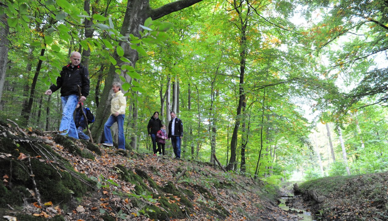 Wanderung durchs Moor, © TMV/Duerst