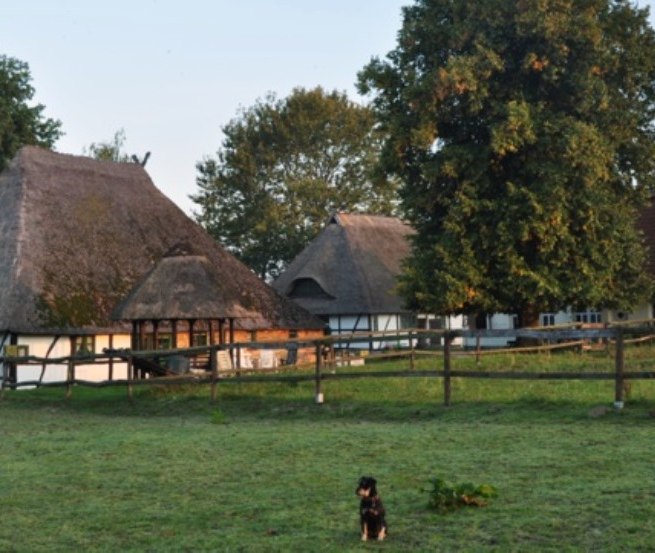 Pferdehof Schwalbennest: Ansicht unseres kleinen, famili&auml;r gef&uuml;hrten Reiterhofes in J&ouml;rnstorf, wo Sie und Ihre Haustiere herzlich willkommen sind. // &copy; Pferdehof Schwalbennest/ Rauth