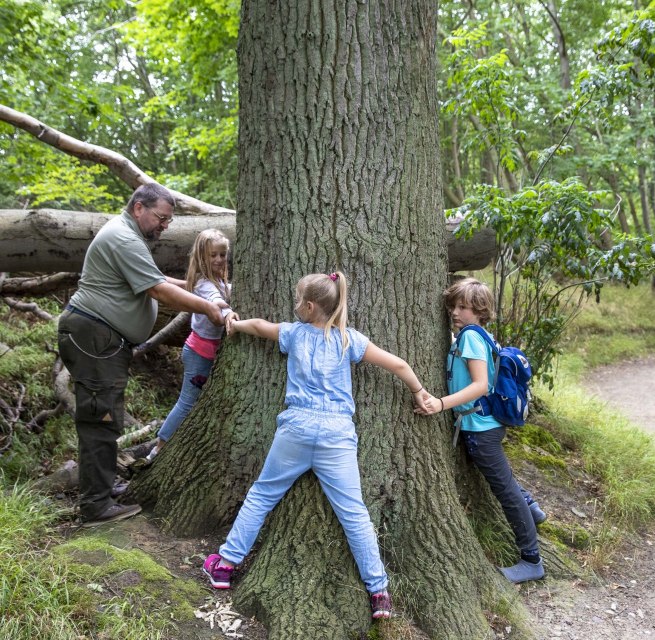 © Kurverwaltung Goehren / Martin Stoever © Kurverwaltung Goehren / Martin Stoever