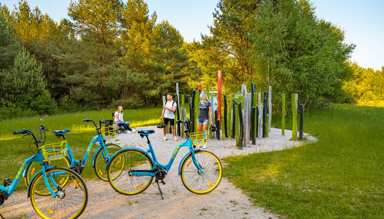 Riesenwiese entland des Entdeckerpfades in der Rostocker Heide, © TMV/Tiemann
