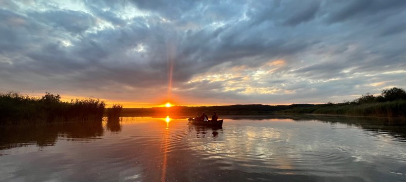 In der Zeit um Mittsommer herum wird es im Naturpark Mecklenburgische Schweiz und Kummerower See nicht mehr richtig dunkel. Die Sonne geht zwar bereits um 19:47 Uhr unter, aber die Abendd&auml;mmerung geht bis weit &uuml;ber Mitternacht hinaus, bevor kurz nach 4 Uhr die Morgend&auml;mmerung einsetzt. Der Mond steht zu dieser Zeit voll am Himmel, als zunehmender Halbmond.
Zu dieser Zeit zwischen den Zeiten l&auml;dt der Naturpark zu einer Paddeltour auf der Peene und den Torfstichen bei Malchin ein. Die Landschaft und die wunderbare Wasserwelt sind dann in ein mystisches Zwielicht getaucht. Die Ger&auml;usche des Tages sind verstummt und die Tiere der Nacht lassen sich h&ouml;ren. Mit etwas Gl&uuml;ck sind sogar Biber zu beobachten, die jetzt zum Vorschein kommen. Ein Naturpark-Ranger vermittelt Ihnen unterwegs viel Interessantes &uuml;ber Biber und Fischotter, die Vogelwelt am Wasser, zur Fluss- und Moorlandschaft der Peene und &uuml;ber den Naturpark.
Treffpunkt ist in Malchin am Kanu-Club &bdquo;K&ouml;sters Eck&ldquo; (Am Kanal 2, 17139 Malchin). Die Bekleidung sollte dem Wetter angepasst sein.
Da die Teilnehmeranzahl begrenzt ist, bitten wir, sich im Naturpark unter der Telefonnummer 0385 588 64 830 anzumelden. Bitte geben Sie dazu auch an, ob Sie als Familie kommen. Das hilft uns bei der Planung der Bootsbelegung.
F&uuml;r die Benutzung der Boote ist ein Unkostenbeitrag von 15 Euro pro Teilnehmer zu entrichten. // &copy; Gudrun Marin-Ziegler