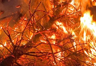 &copy; Kurverwaltung Feldberger Seenlandschaft