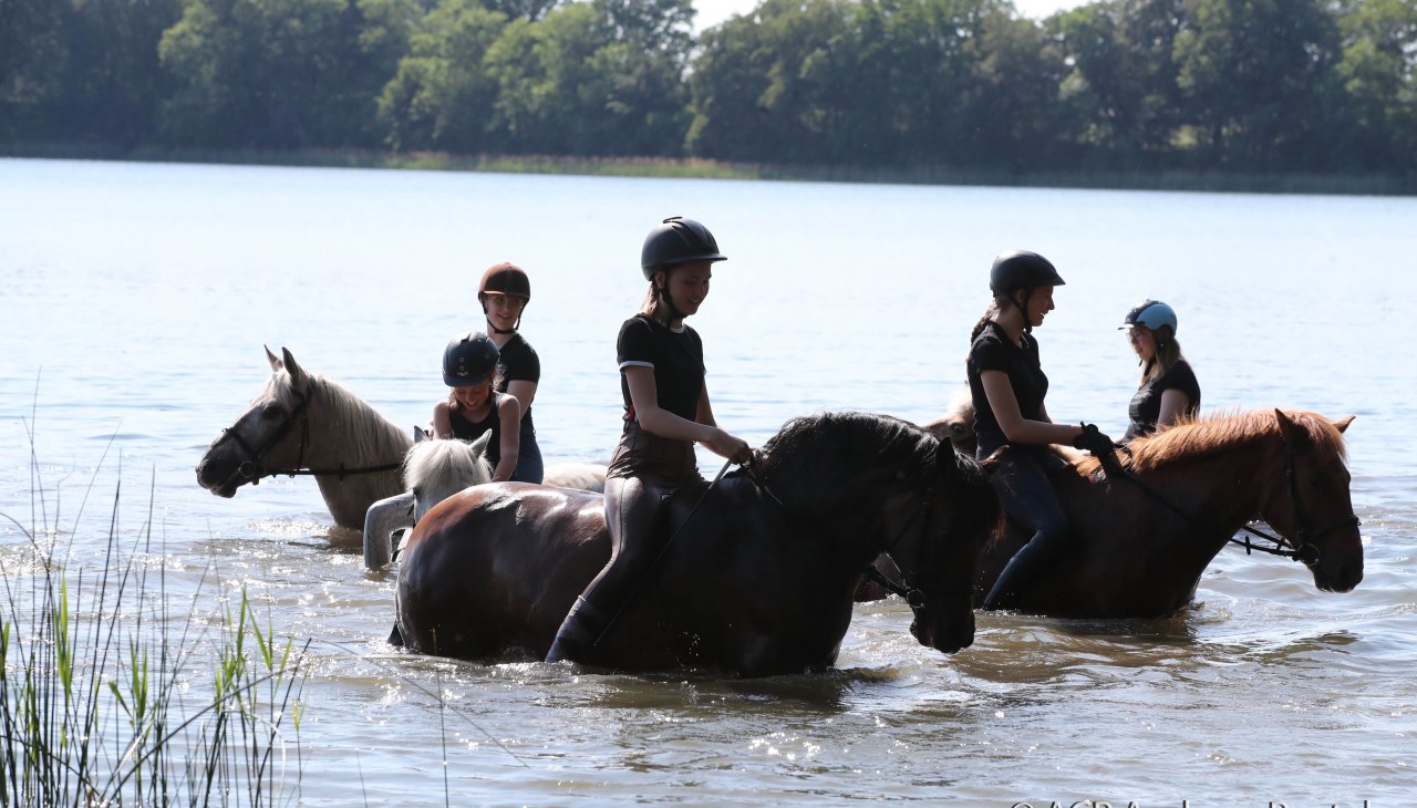 Bij de paardenboerderij Zislow is het mogelijk om met een paard het water in te gaan., &copy; TMV / ACP Pantel