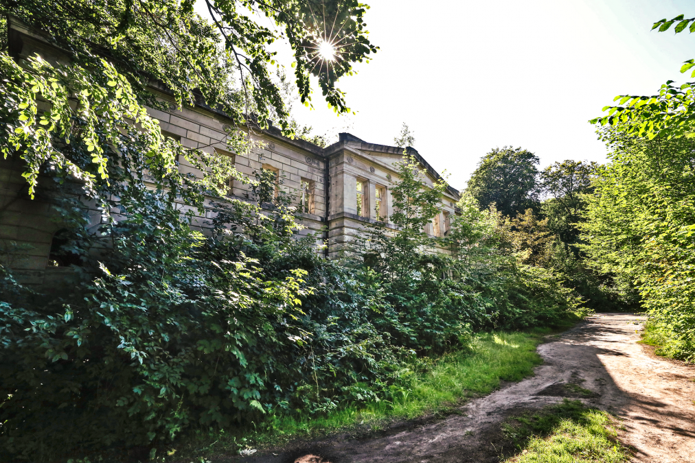 kasteel-ruïnes-wasieden_1, © TMV/Gohlke kasteel-ruïnes-wasieden_1, © TMV/Gohlke
