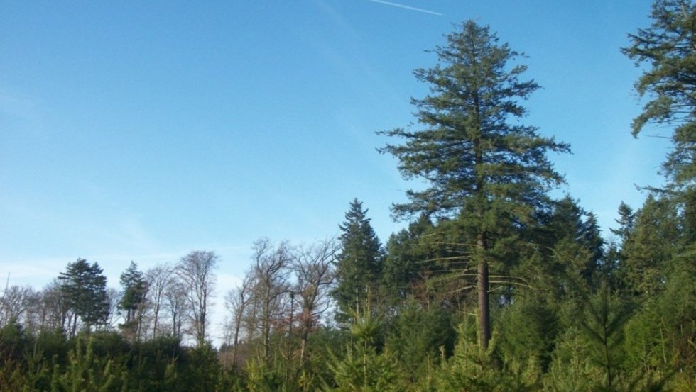 Foto: Stadt Parchim, &copy; Foto: Stadt Parchim