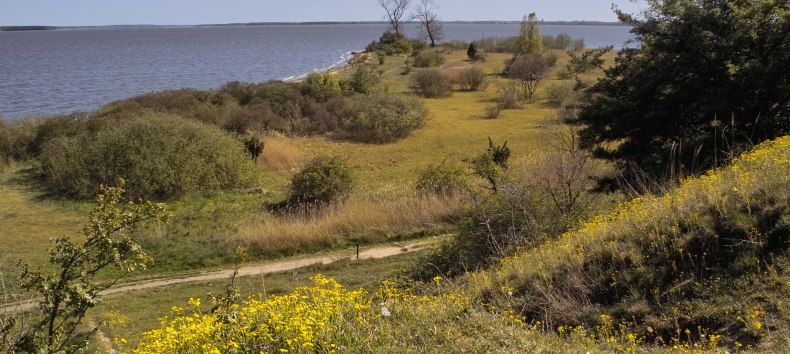 Blick auf das Naturschutzgebiet Gnitz // © Fotoarchiv Naturpark Insel Usedom Blick auf das Naturschutzgebiet Gnitz // © Fotoarchiv Naturpark Insel Usedom