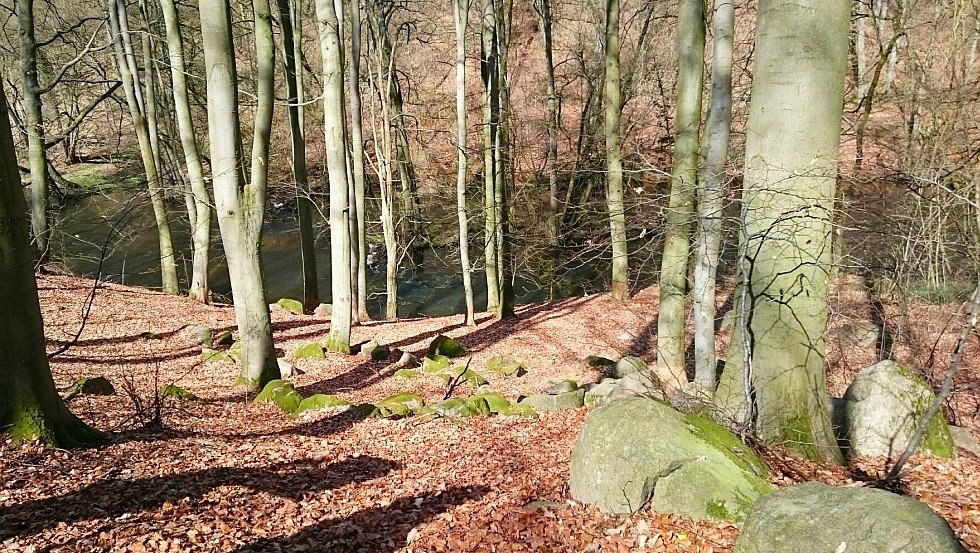 Gesteine verschiedenster Gr&ouml;&szlig;en finden sich im Warnow-Durchbruchstal // &copy; MV-T