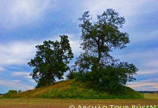 Blick auf das mit knorrigen Eichen bewachsene Hügelgrab "Himmel", © Archäo Tour Rügen Blick auf das mit knorrigen Eichen bewachsene Hügelgrab "Himmel", © Archäo Tour Rügen