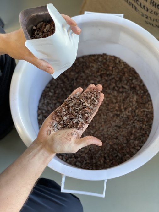 Kakaoschalen, &copy; Roy Zimmer