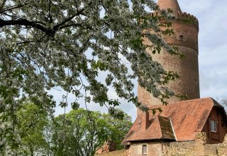 &copy; Andrea Kr&uuml;ger