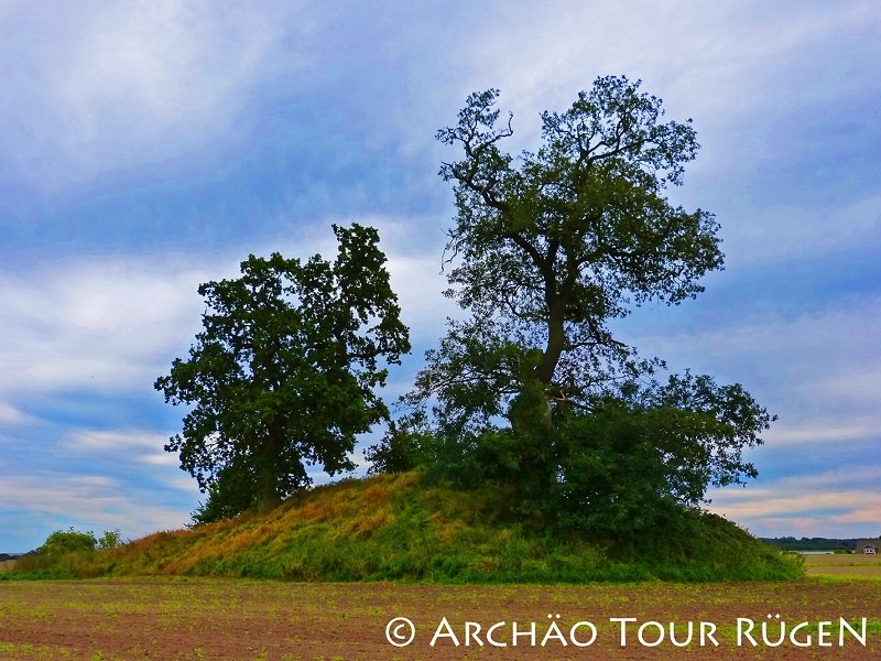 Zicht op de grafheuvel "Himmel" begroeid met knoestige eiken // © Archäo Tour Rügen Zicht op de grafheuvel "Himmel" begroeid met knoestige eiken // © Archäo Tour Rügen