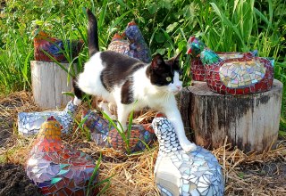 &copy; Dennis Schreib