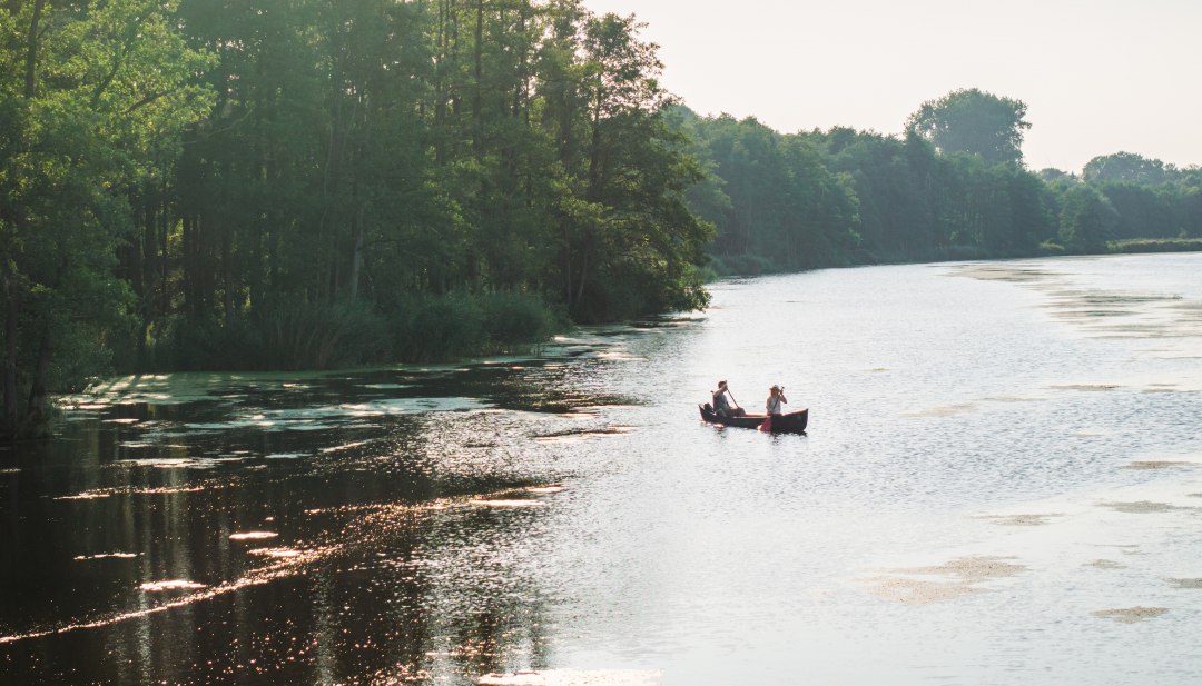Zwei Personen paddeln in einem Kanu auf der Peene, umgeben von &uuml;ppiger Natur und sonnendurchflutetem Wasser.