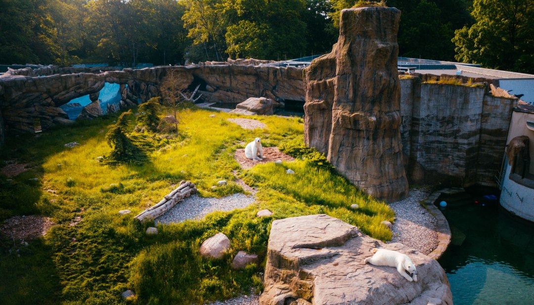 Das Polarium im Rostocker Zoo erinnert ein bisschen an die Hudson Bay in Kanada, wo viele Eisbären zuhause sind. Man hat einen Einblick aus der Luft auf das Gehege mit den Eisbären.