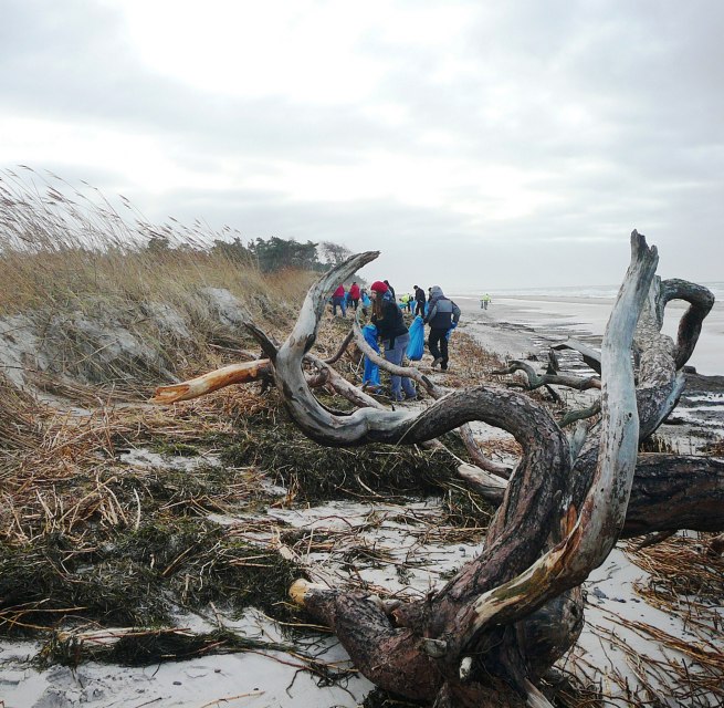 &copy; Nationalparkamt Vorpommern