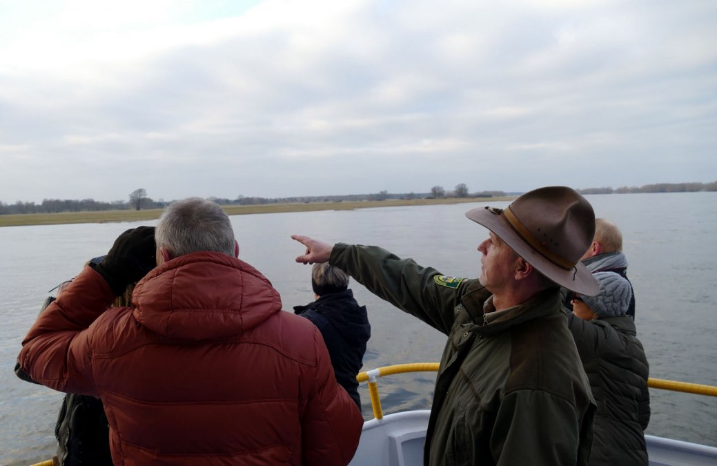 Vogelbeobachtung mit dem Ranger auf der Elbe, &copy; Biosph&auml;renreservatsamt Schaalsee-Elbe