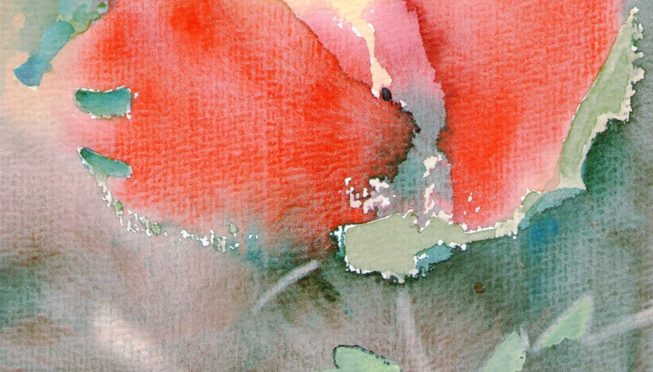 egon arnold, © egon arnold egon arnold, © egon arnold