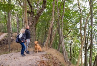 © Kurverwaltung Goehren / Martin Stoever © Kurverwaltung Goehren / Martin Stoever