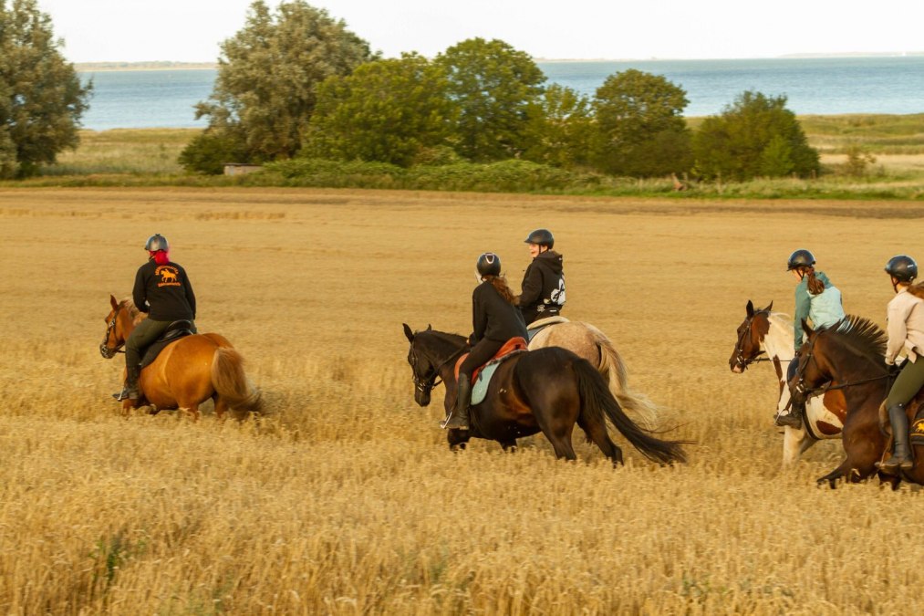 2023-08-13 09-44-08, © bernsteinreiter 2023-08-13 09-44-08, © bernsteinreiter
