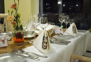 © 08.11. Wildgala.JPG © 08.11. Wildgala.JPG