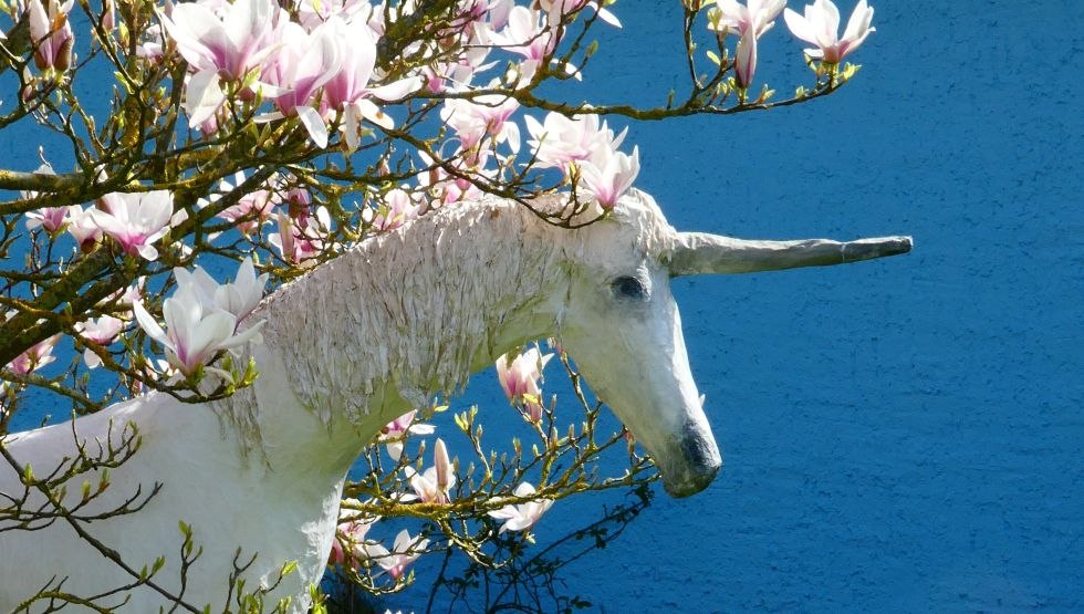 Den Fr&uuml;hling genie&szlig;en - Das Einhorn liebt Magnolien, &copy; Monika Brunsmann-Hoxbergen