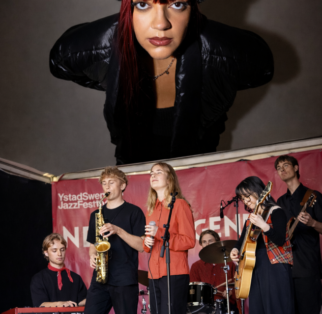 &copy; Foto: Erla Ziska (jazzygold), Anna Rylander (Wonders of Stevie)