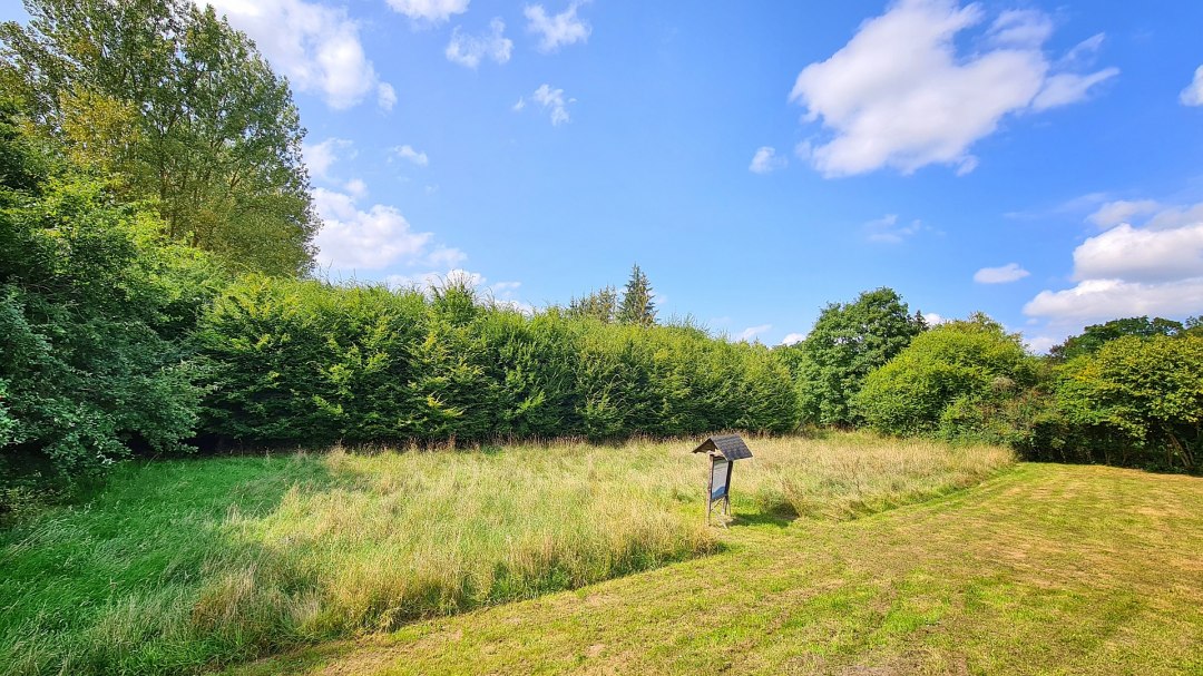 Klimawald Schuenhagen, © Landesforst MV Klimawald Schuenhagen, © Landesforst MV