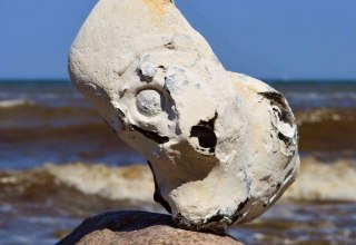 Steine am Ostseestrand // &copy; GeoPark Nordisches Steinreich