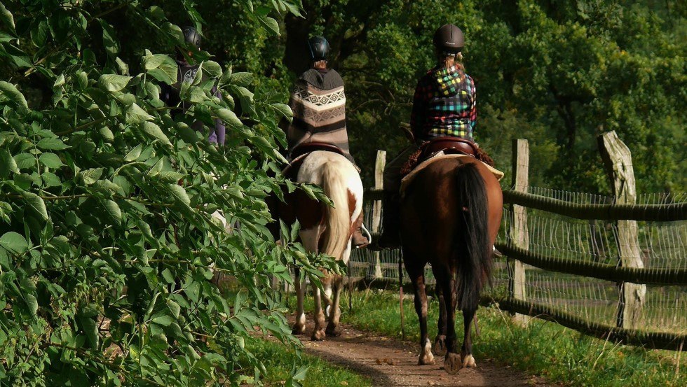 Breng je vakantie door met paarden in Mecklenburg ParkLand // &copy; Mecklenburger ParkLand/Feriengut Dalwitz und La Primera
