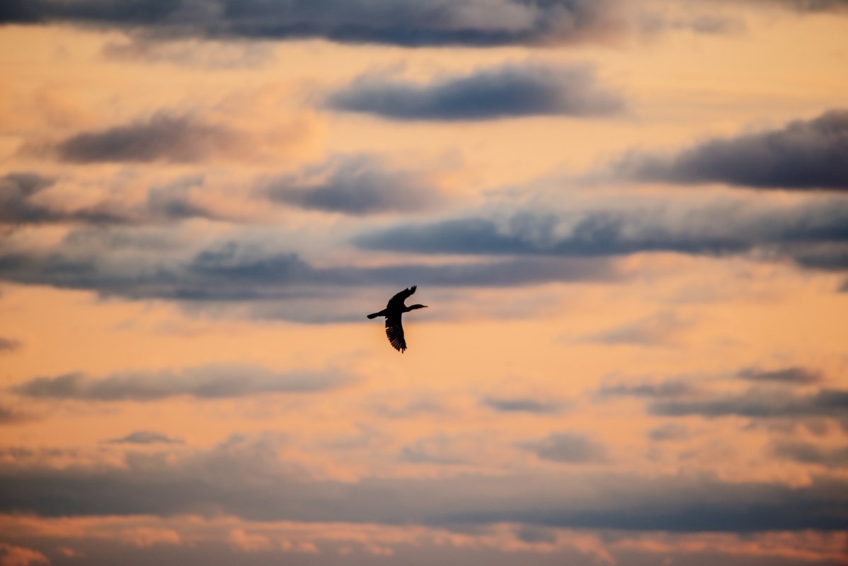 &copy; Binzer Bucht Tourismus