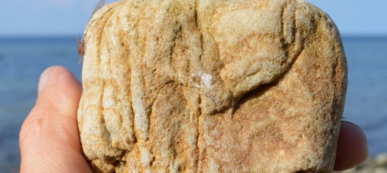 Versteinerte Wurmröhren - Skolithos-Sandstein Fossil eines der ältesten höheren Lebewesen // © GeoPark Nordisches Steinreich Versteinerte Wurmröhren - Skolithos-Sandstein Fossil eines der ältesten höheren Lebewesen // © GeoPark Nordisches Steinreich