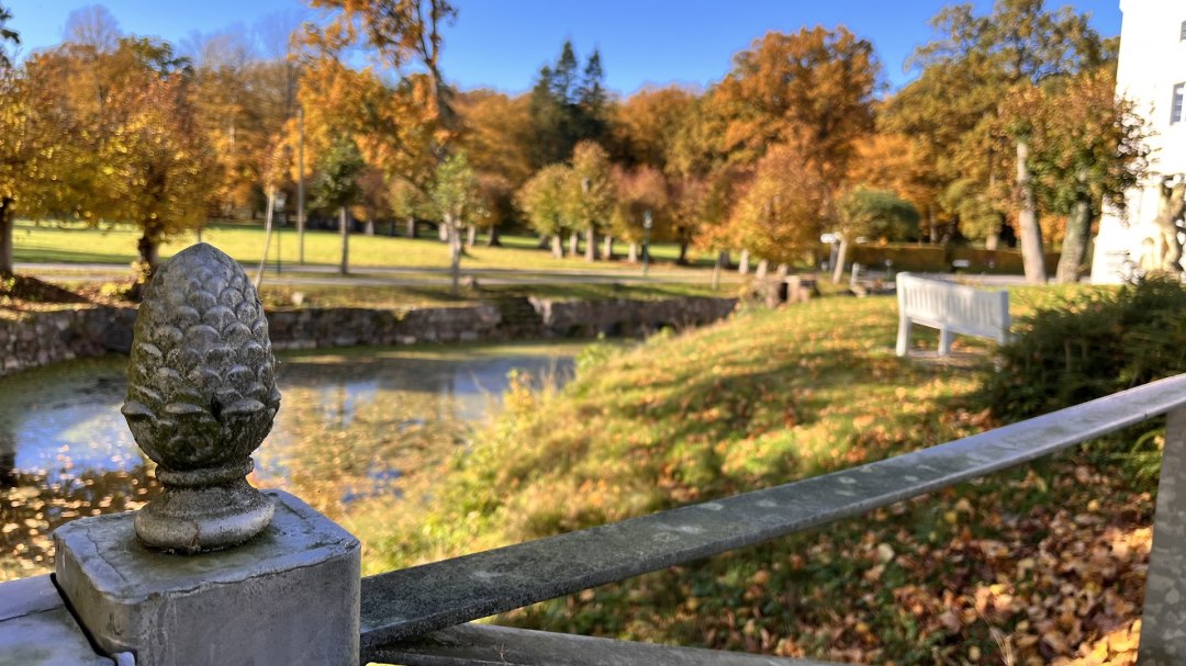 Parkblick, © Schloss Schlemmin Parkblick, © Schloss Schlemmin