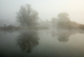 Nebelmorgen an der L&ouml;cknitz // &copy; Ulf Pipping