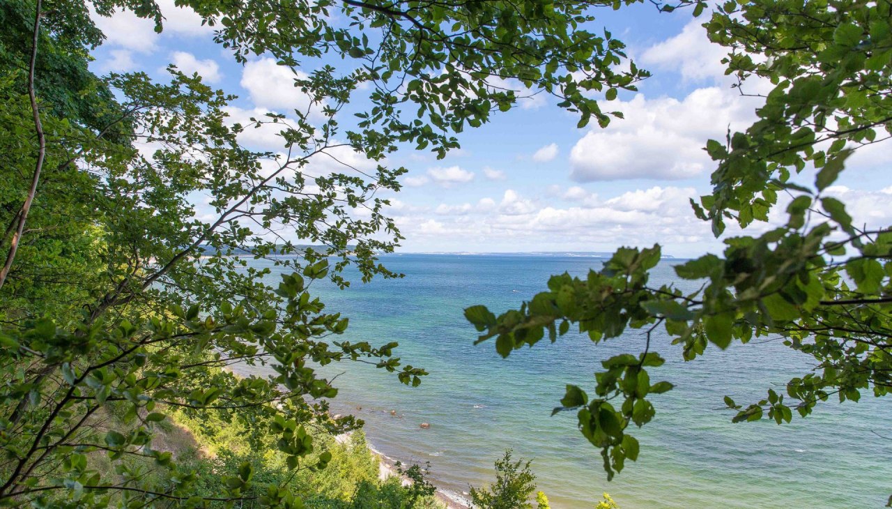 Rangerfuehrung zum Goehrener Nordperd (c) Kurverwaltung Goehren Martin Stoever _2015_62P6780, &copy; Kurverwaltung Goehren / Martin Stoever