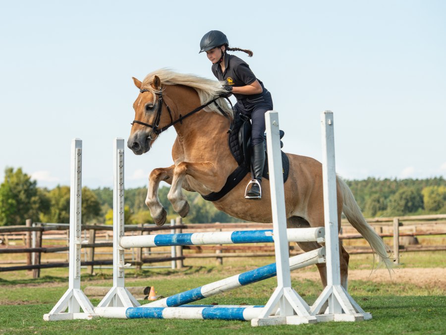 bernsteinreiterverkauf2018_boriskownatzki_062_1, © bernsteinreiter