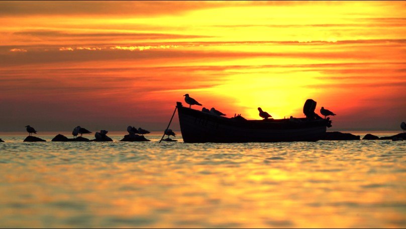 KLZ Boot Vögel Sonnenuntergang Offermann, © Nico Offermann