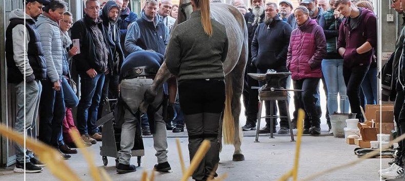 &copy; Hufbeschlag Helm