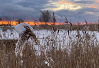 &copy; TZ S&uuml;dliche Boddenk&uuml;ste
