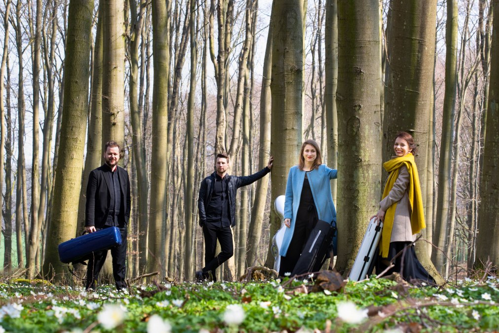 Armida Quartett, &copy; Oliver Borchert