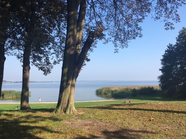 Strand met bomen // © A. Groh Strand met bomen // © A. Groh