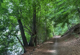 Waldweg am Schweriner See zwischen Zippendorf und Muess // © BUND-MV Waldweg am Schweriner See zwischen Zippendorf und Muess // © BUND-MV
