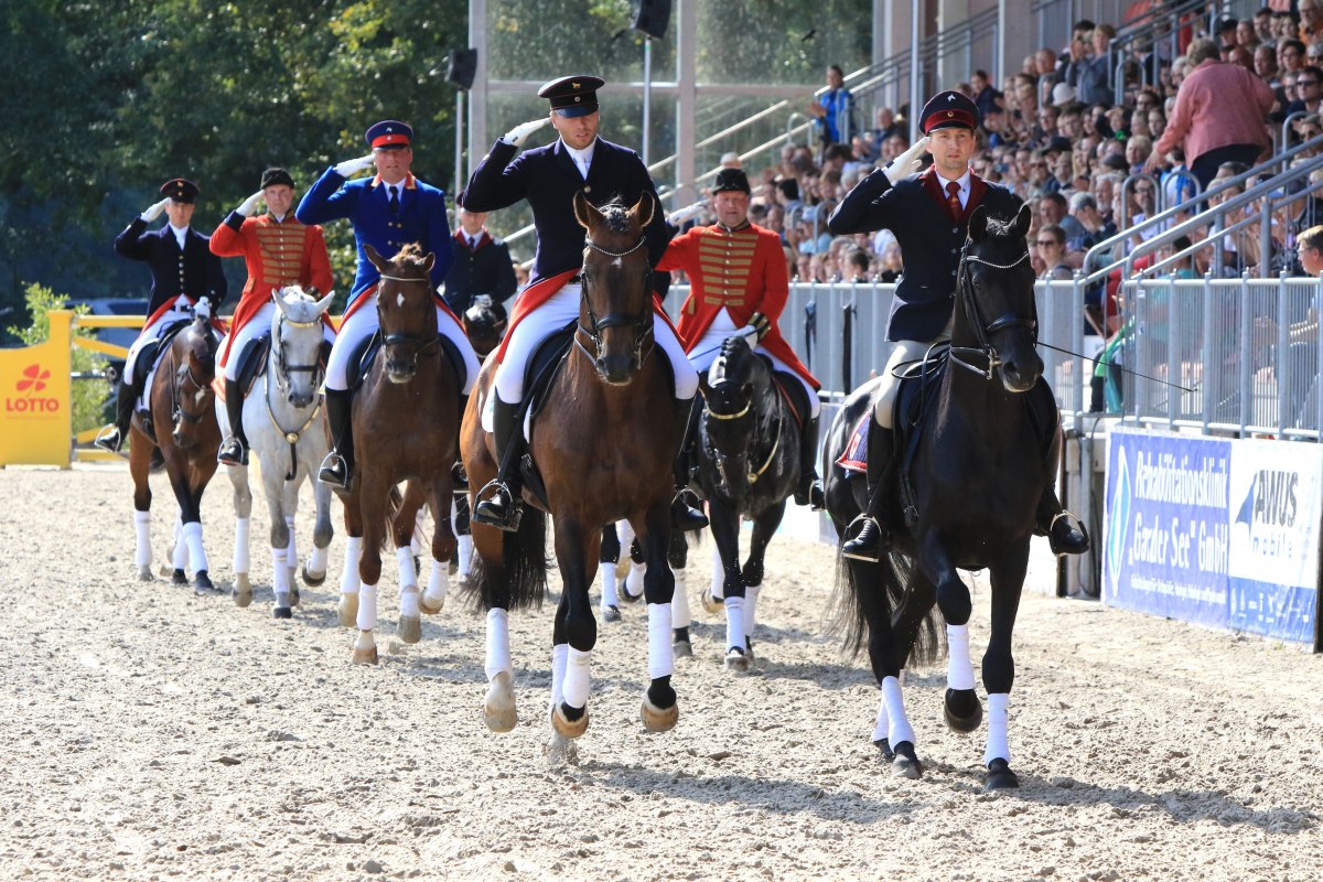 Pferdetage Landgest&uuml;t Redefin, &copy; Sven F&ouml;rst